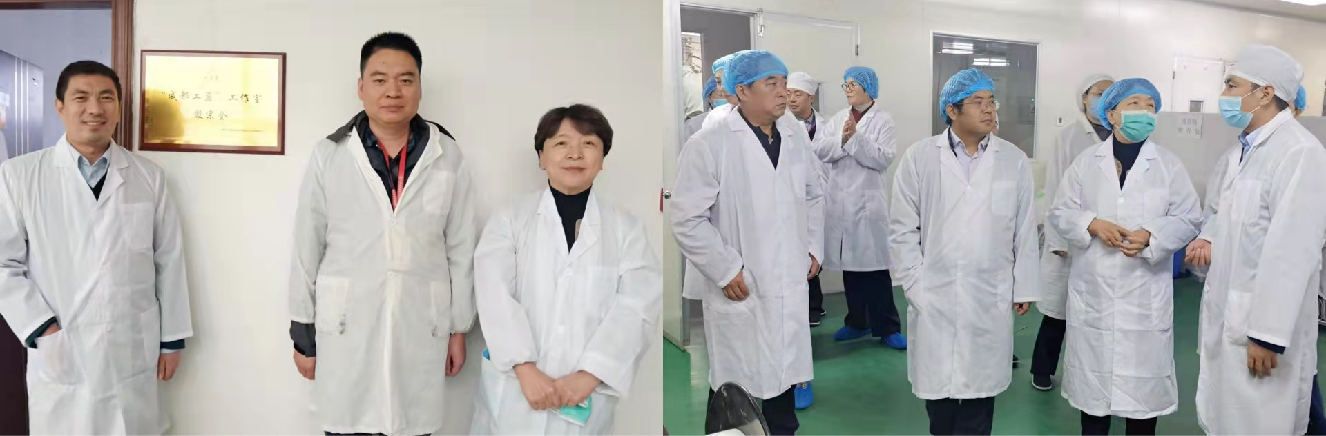 九芝堂集團(tuán)副總裁劉春鳳一行蒞臨金鼎藥業(yè)調(diào)研指導(dǎo)工作